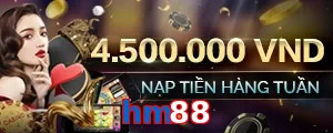 hm88